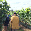 Vancouver Wine Tour - craftwinetours