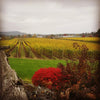 Vancouver island Winery